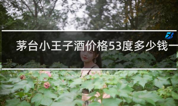 茅台小王子酒价格53度多少钱一瓶