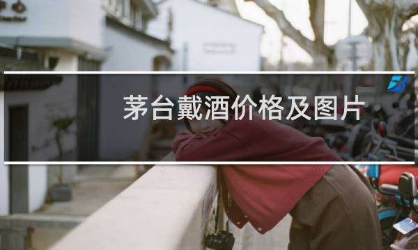 茅台戴酒价格及图片