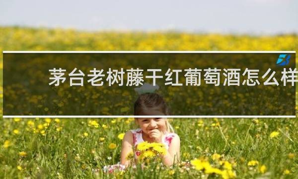 茅台老树藤干红葡萄酒怎么样
