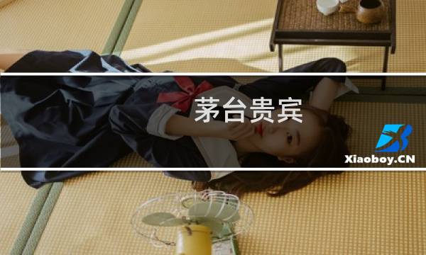 茅台贵宾 9价格