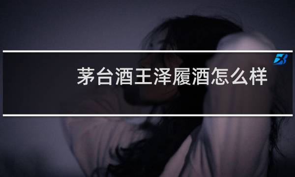 茅台酒王泽履酒怎么样