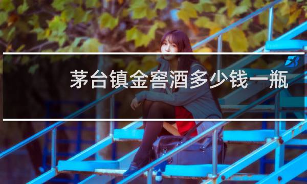 茅台镇金窖酒多少钱一瓶