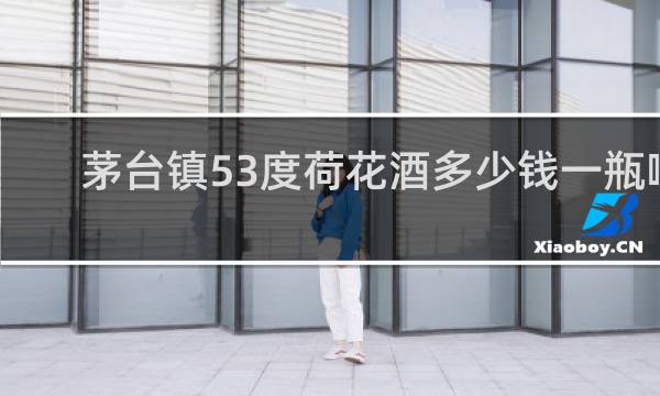 茅台镇53度荷花酒多少钱一瓶啊