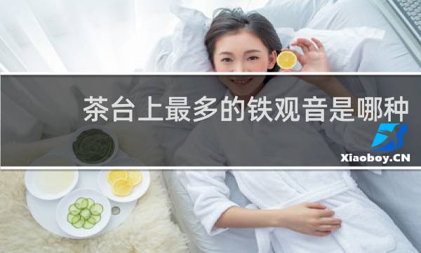 茶台上最多的铁观音是哪种