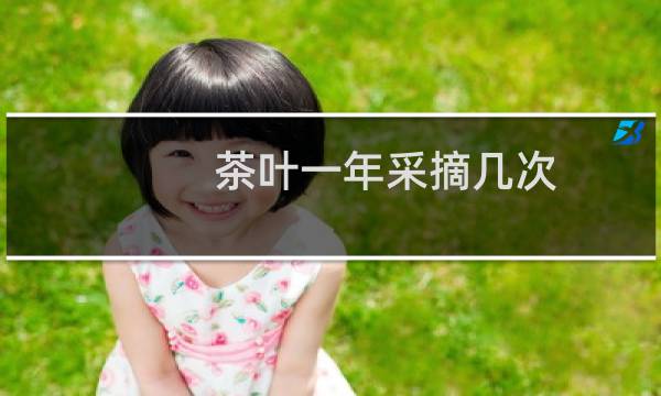 茶叶一年采摘几次