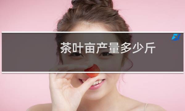 茶叶亩产量多少斤
