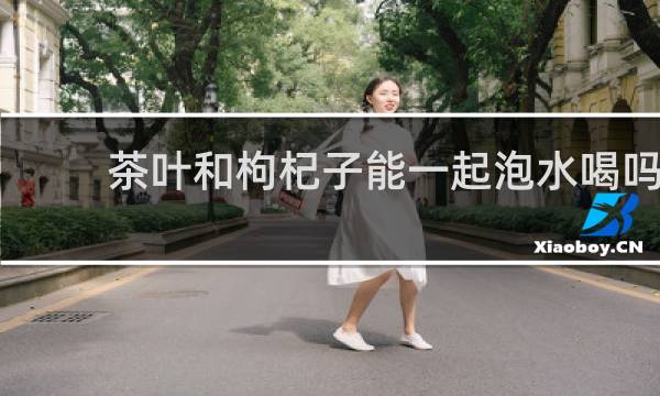 茶叶和枸杞子能一起泡水喝吗