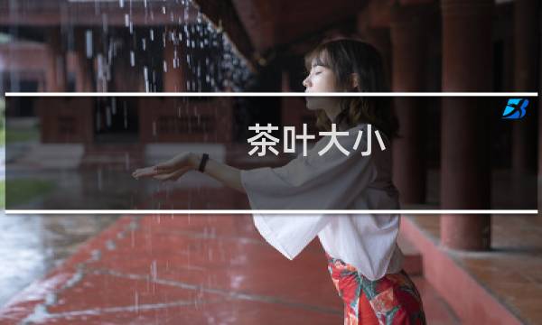 茶叶大小