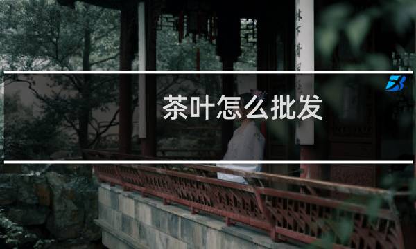 茶叶怎么批发