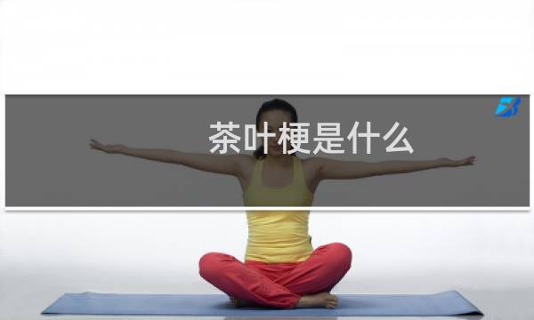 茶叶梗是什么