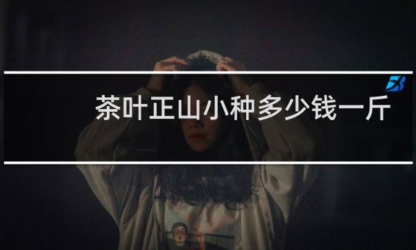 茶叶正山小种多少钱一斤