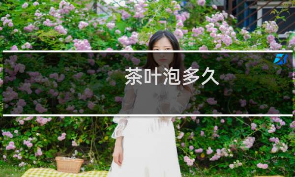 茶叶泡多久