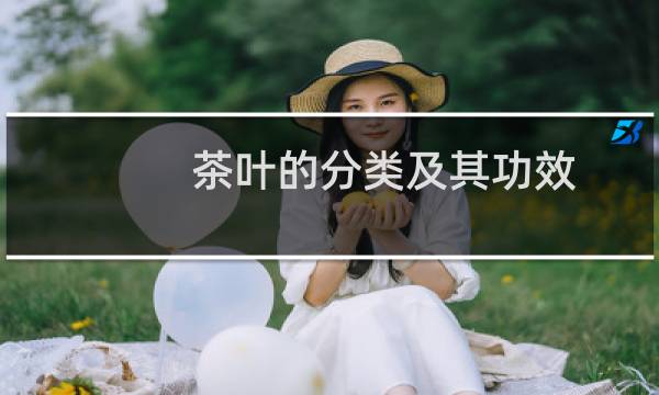 茶叶的分类及其功效