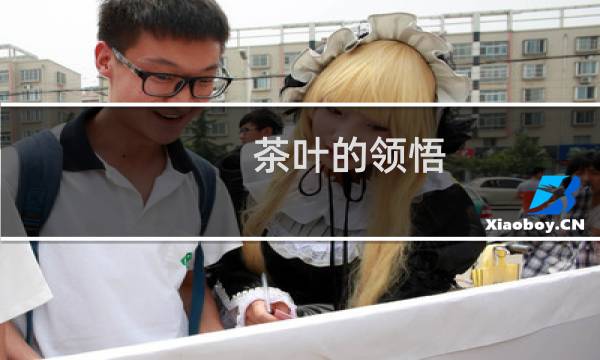 茶叶的领悟