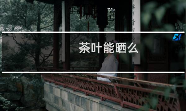 茶叶能晒么