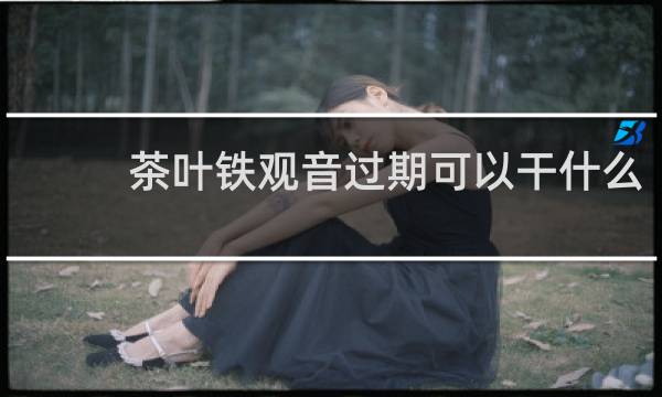 茶叶铁观音过期可以干什么