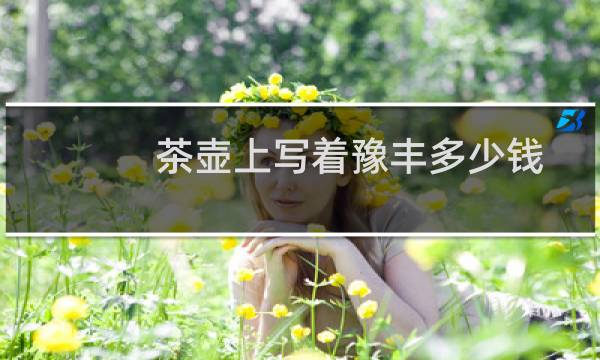 茶壶上写着豫丰多少钱