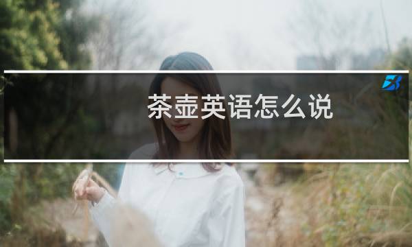 茶壶英语怎么说