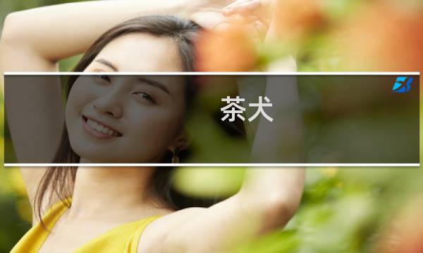 茶犬   攻略