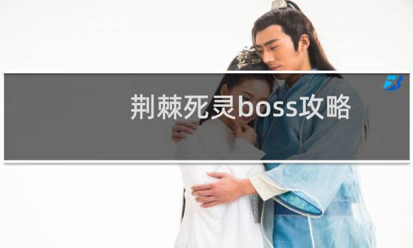 荆棘死灵boss攻略