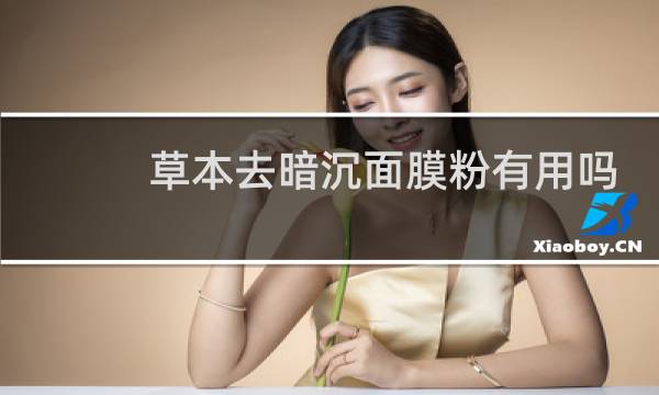 草本去暗沉面膜粉有用吗