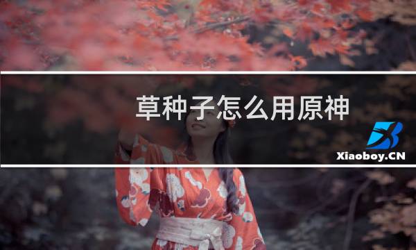 草种子怎么用原神
