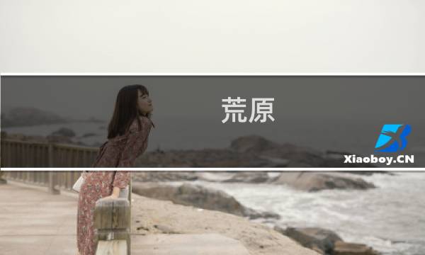 荒原 攻略