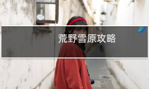 荒野雪原攻略