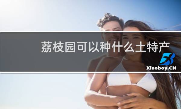 荔枝园可以种什么土特产
