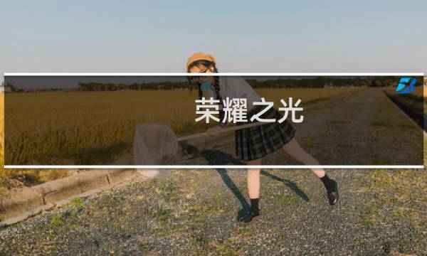 荣耀之光 攻略