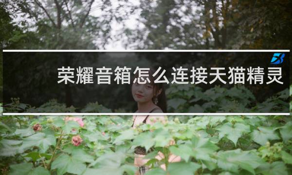 荣耀音箱怎么连接天猫精灵