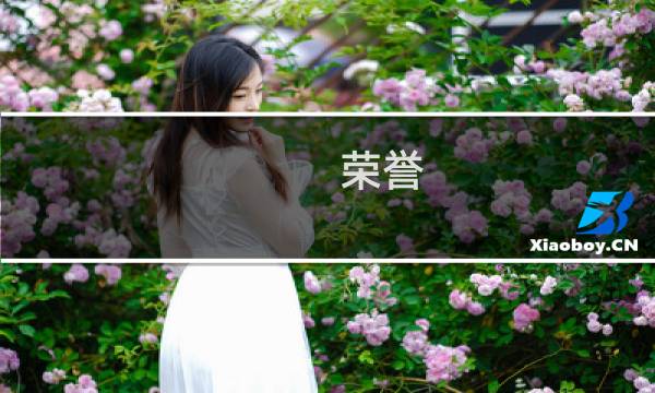 荣誉 战士 攻略
