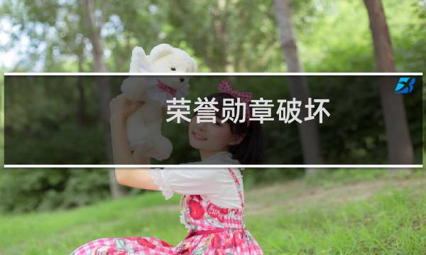 荣誉勋章破坏 攻略
