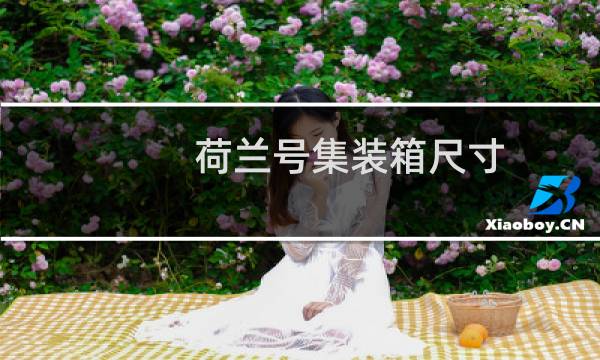 荷兰号集装箱尺寸