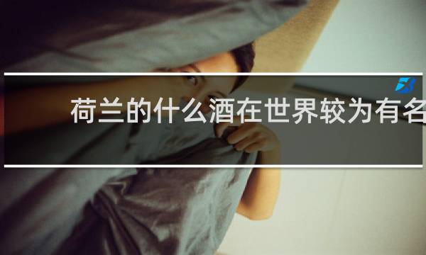 荷兰的什么酒在世界较为有名