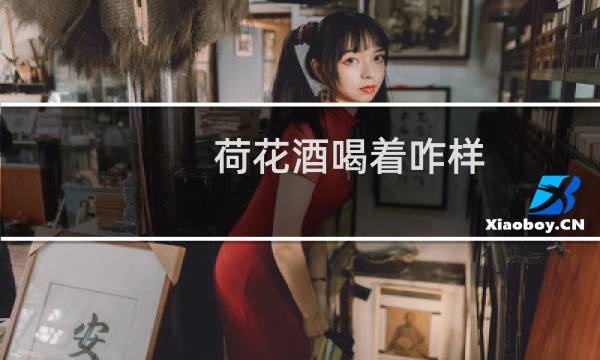 荷花酒喝着咋样