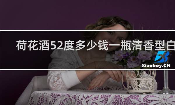 荷花酒52度多少钱一瓶清香型白酒