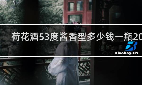 荷花酒53度酱香型多少钱一瓶2002