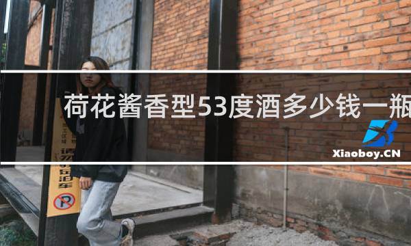 荷花酱香型53度酒多少钱一瓶