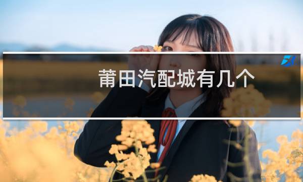 莆田汽配城有几个