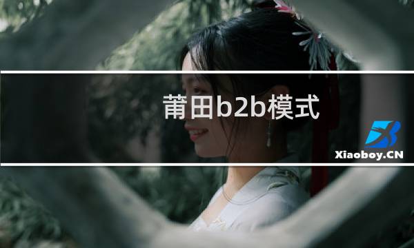 莆田b2b模式