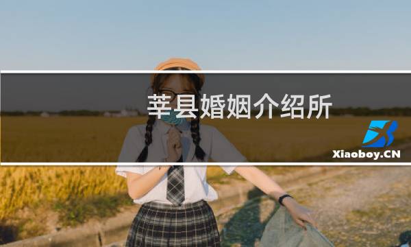 莘县婚姻介绍所