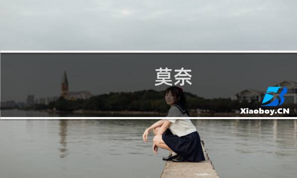 莫奈 攻略