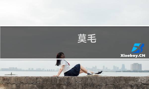 莫毛 西北望攻略