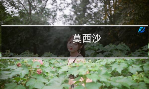 莫西沙 糯冰多少钱