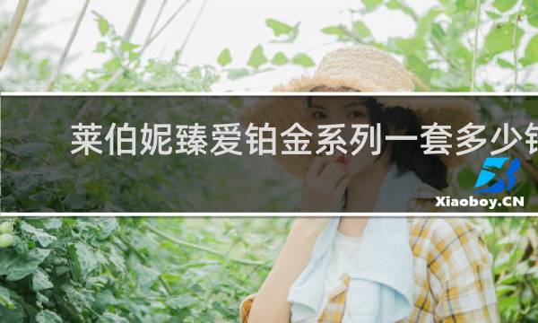 莱伯妮臻爱铂金系列一套多少钱