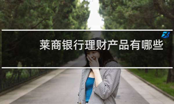 莱商银行理财产品有哪些