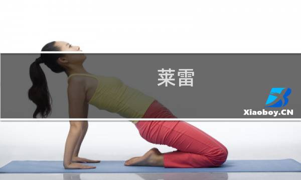 莱雷 攻略