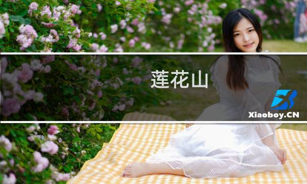 莲花山 门票