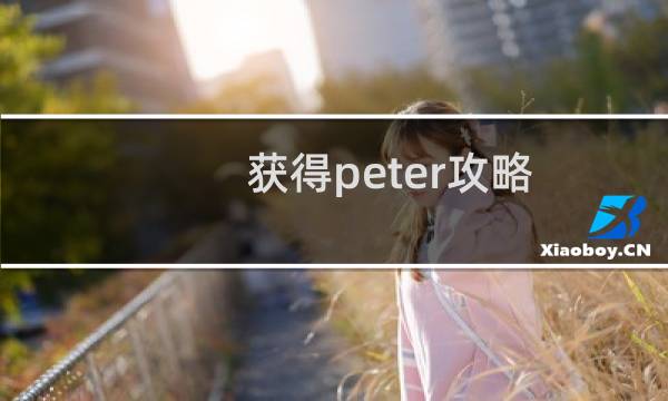 获得peter攻略